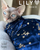 sphynx cat and kitten shirt.  sphynx cat clothes