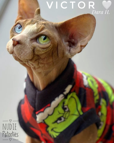 Sphynx cat and kitten Christmas shirt.  Sphynx cat clothes.