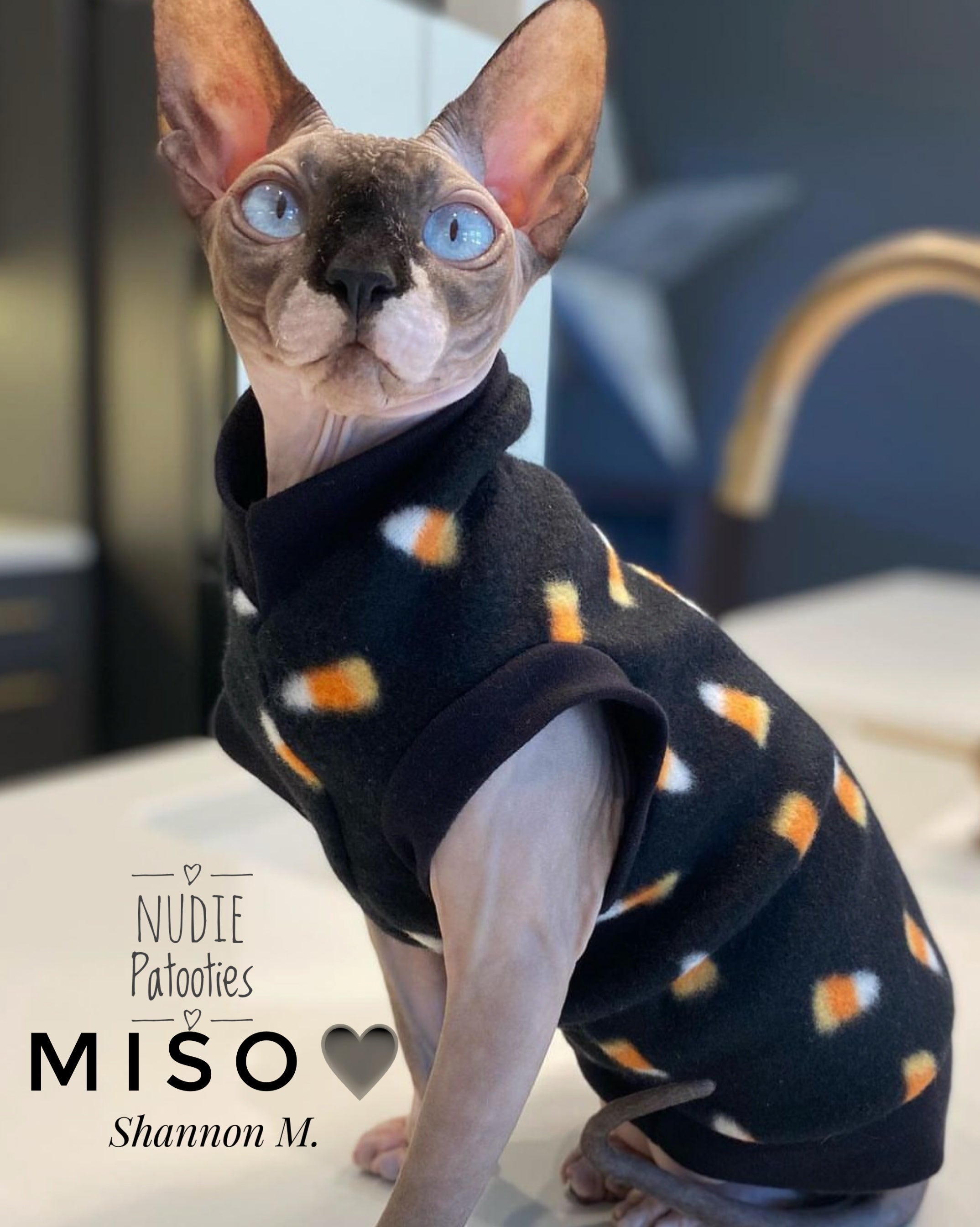 Sphynx cat and kitten shirt. Best sphynx cat and kitten clothes, shirts and swag.  