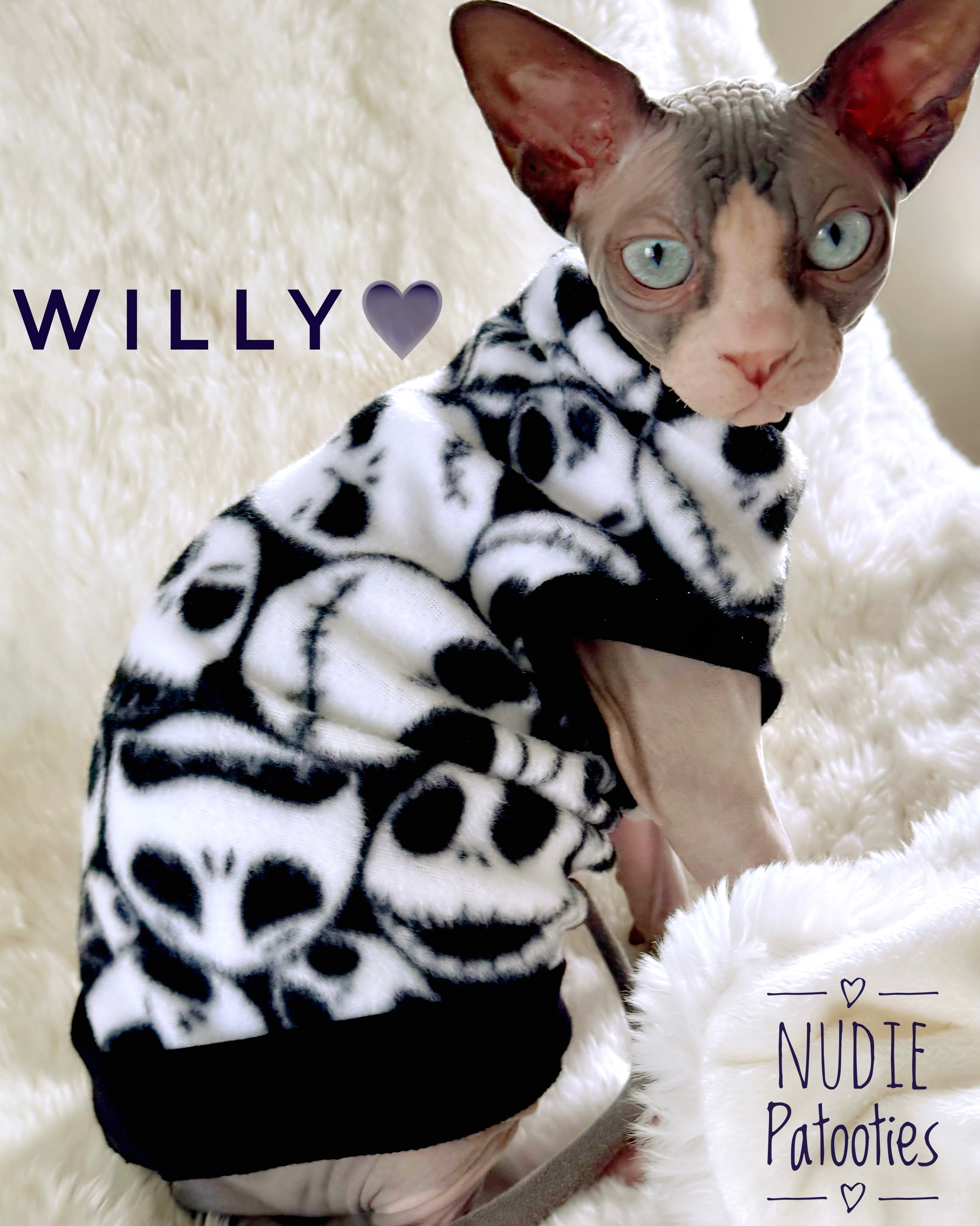 Sphynx cat wearing a soft Halloween themed fleece shirt.  Best sphynx cat and kitten clothes and swag. 