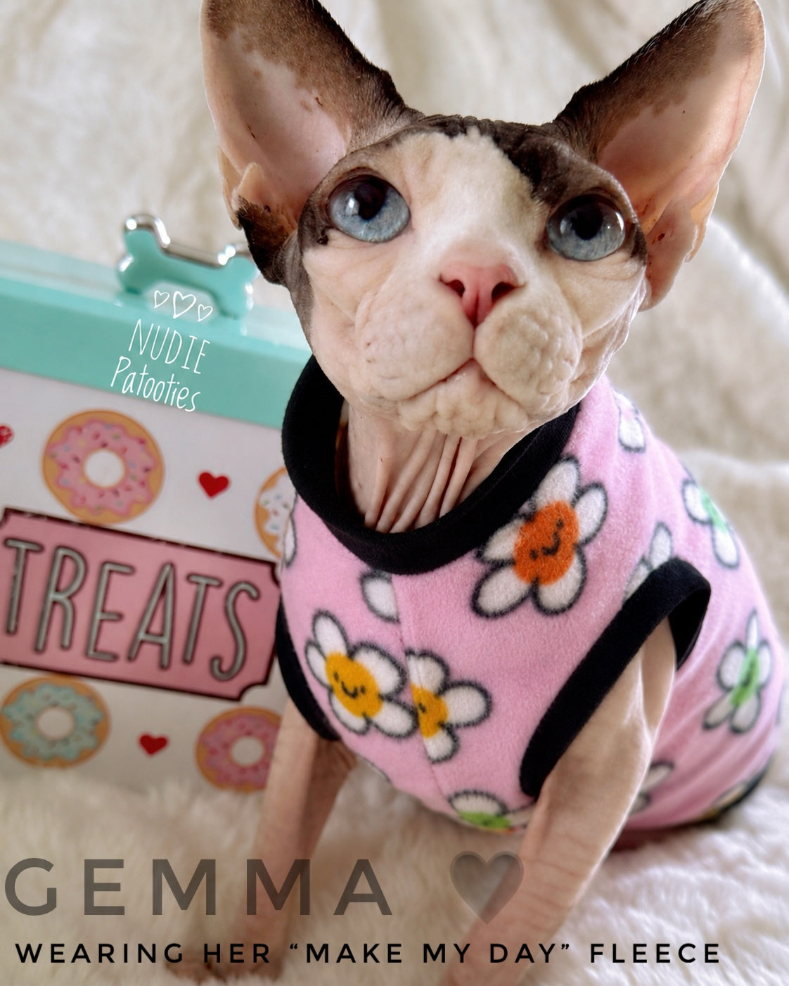 Best sphynx cat clothes, shirts, and swag. 