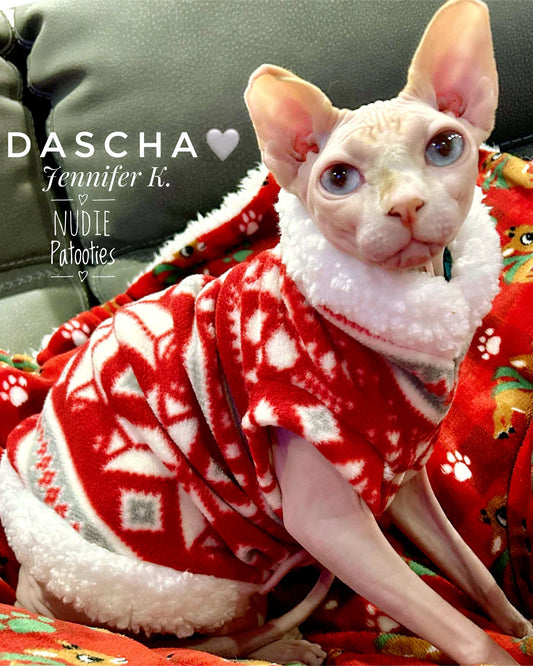 Best sphynx cat and kitten clothes.  Sphynx cat warm and cozy Christmas sweater shirt