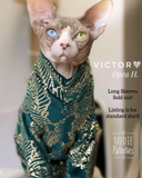 Sohynx cat and kitten shirt.  Sphynx cat clothes