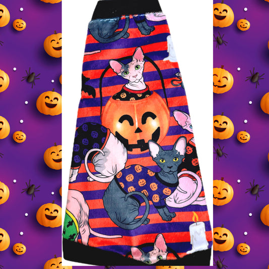 Best sphynx cat and kitten clothes, shirts, sweaters and swag.  Seasonal Halloween shirt.