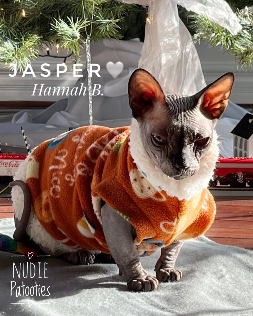 Pumpkin Spice sphynx cat and kitten fleece shirt.  sphynx cat clothes