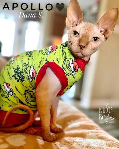 Sphynx cat and kitten Christmas shirt.  Sphynx cat clothes.