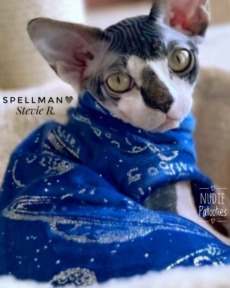 sohynx cat and kitten fleece shirt.  sphynx cat clothes 