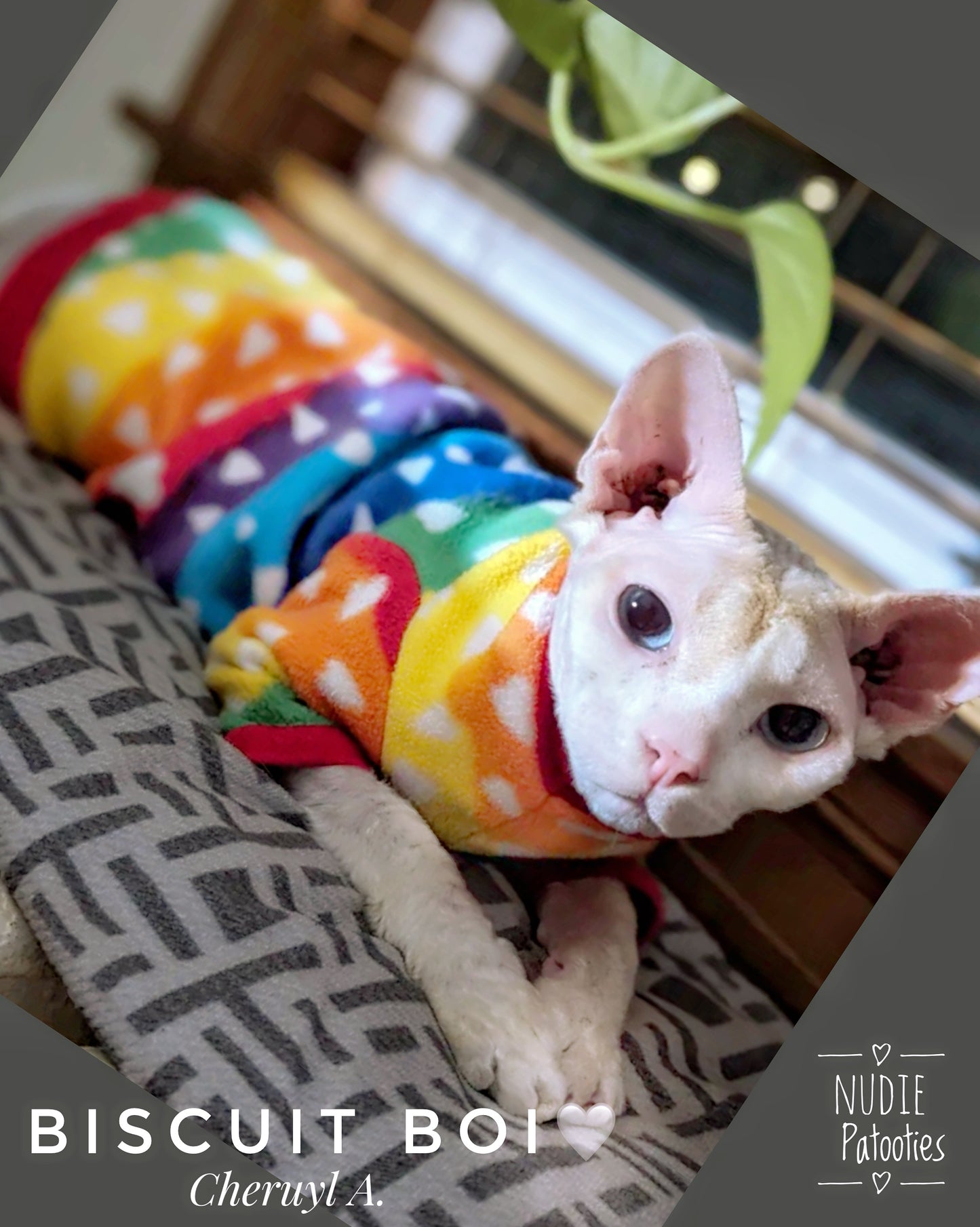 Sphynx cat and kitten fleece shirt.  Sphynx cat clothes