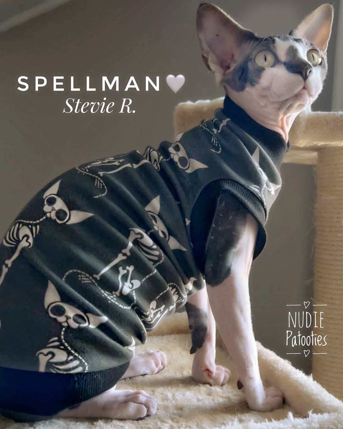 sphynx cat and kitten shirt.  sphynx cat clothes