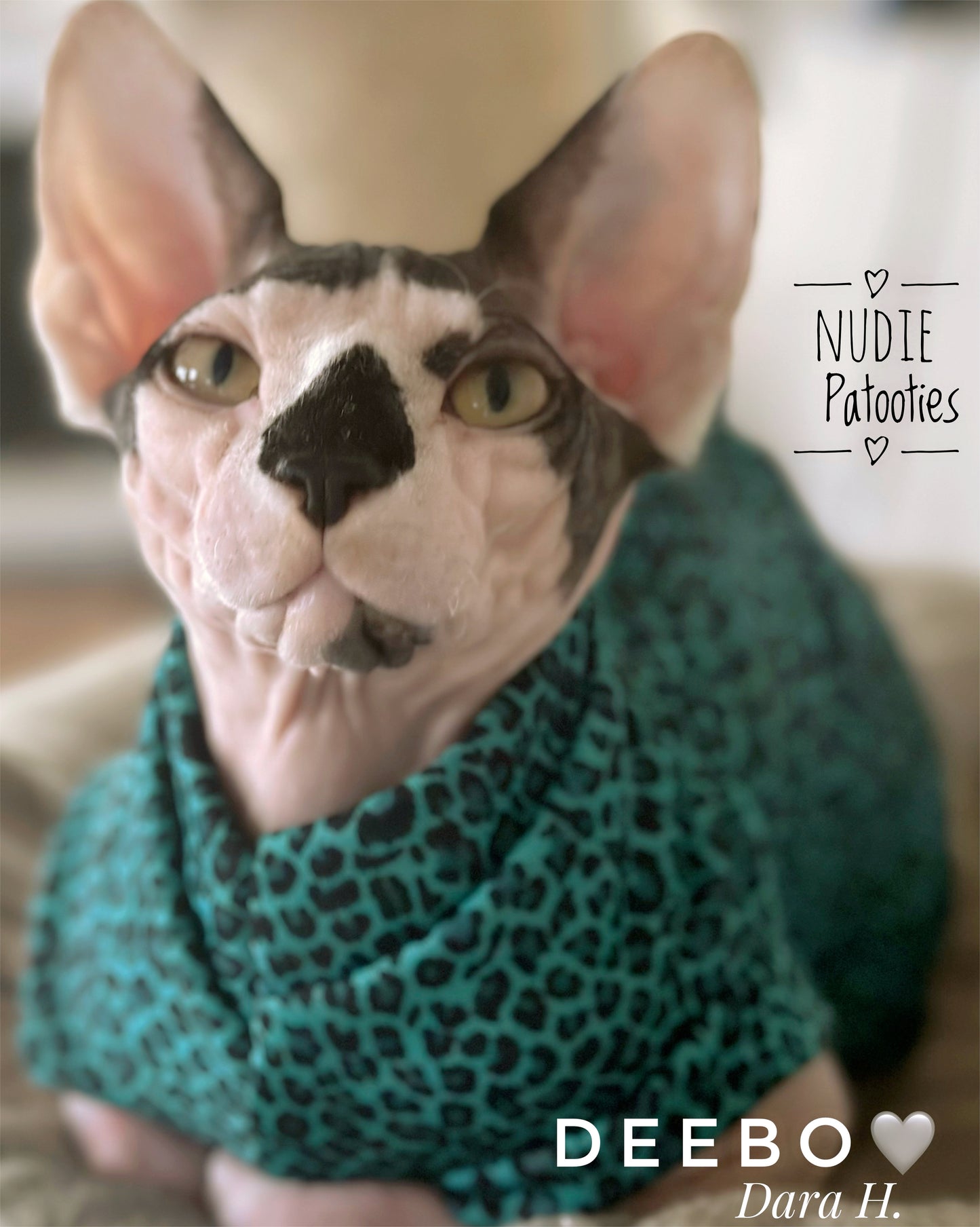 Sphynx cat shirt.  Sphynx cat clothes