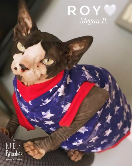 Distress stars 4th of July sphynx shirt.  Sphynx cat clothes