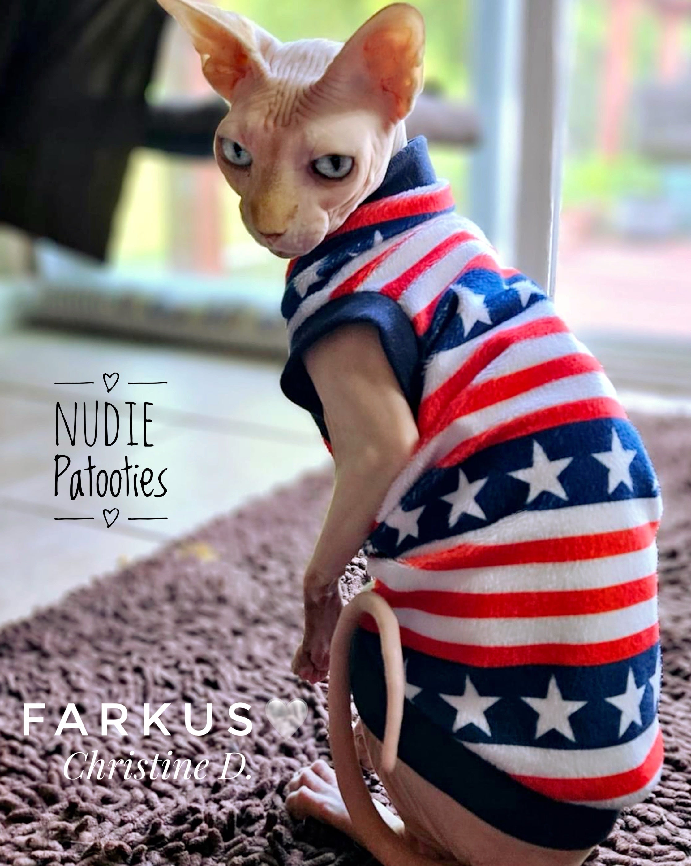4th of July sphynx cat and kitten shirt.  Sphynx cat and kitten shirt. Best sphynx cat and kitten clothes, shirts and swag.  