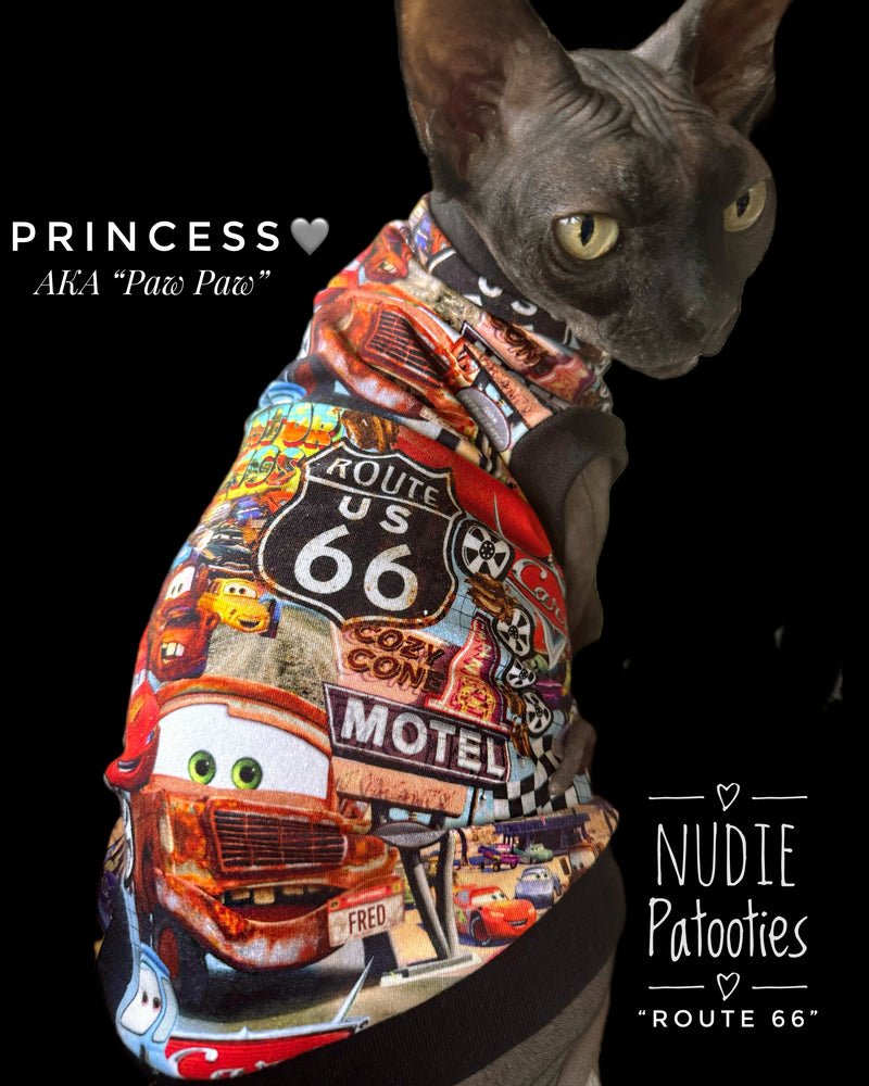 Best sphynx cat and kitten shirts, clothes and swag.