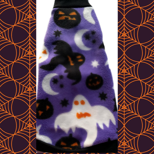 Sphynx cat and kitten Halloween shirt.  Sphynx cat clothes. 