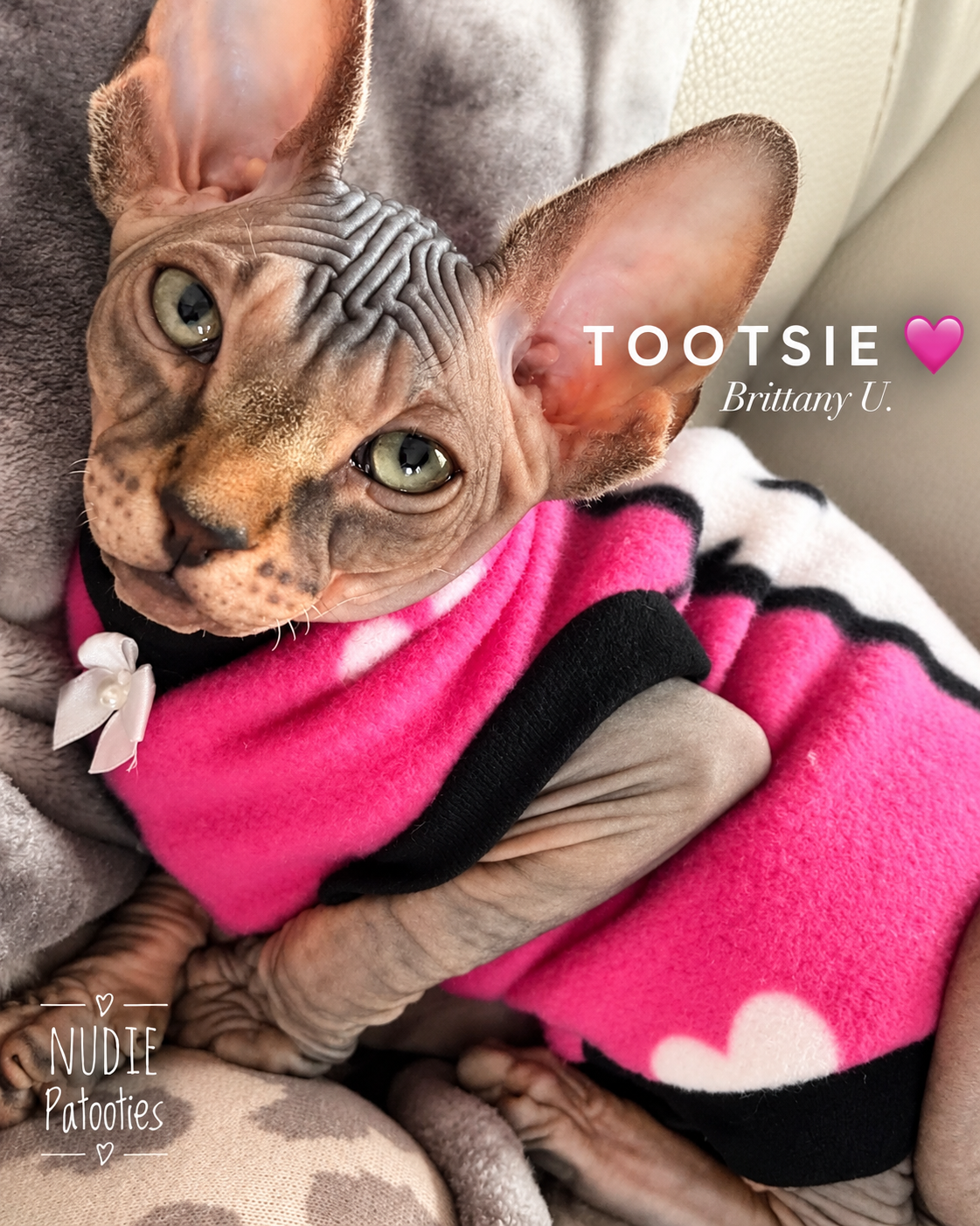 Kitty Fleece "Come Say Hello"