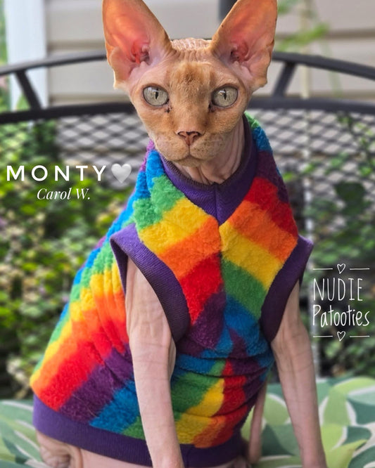 Monty sphynx cat wearing his rainbow striped fleece sphynx cat shirt. 