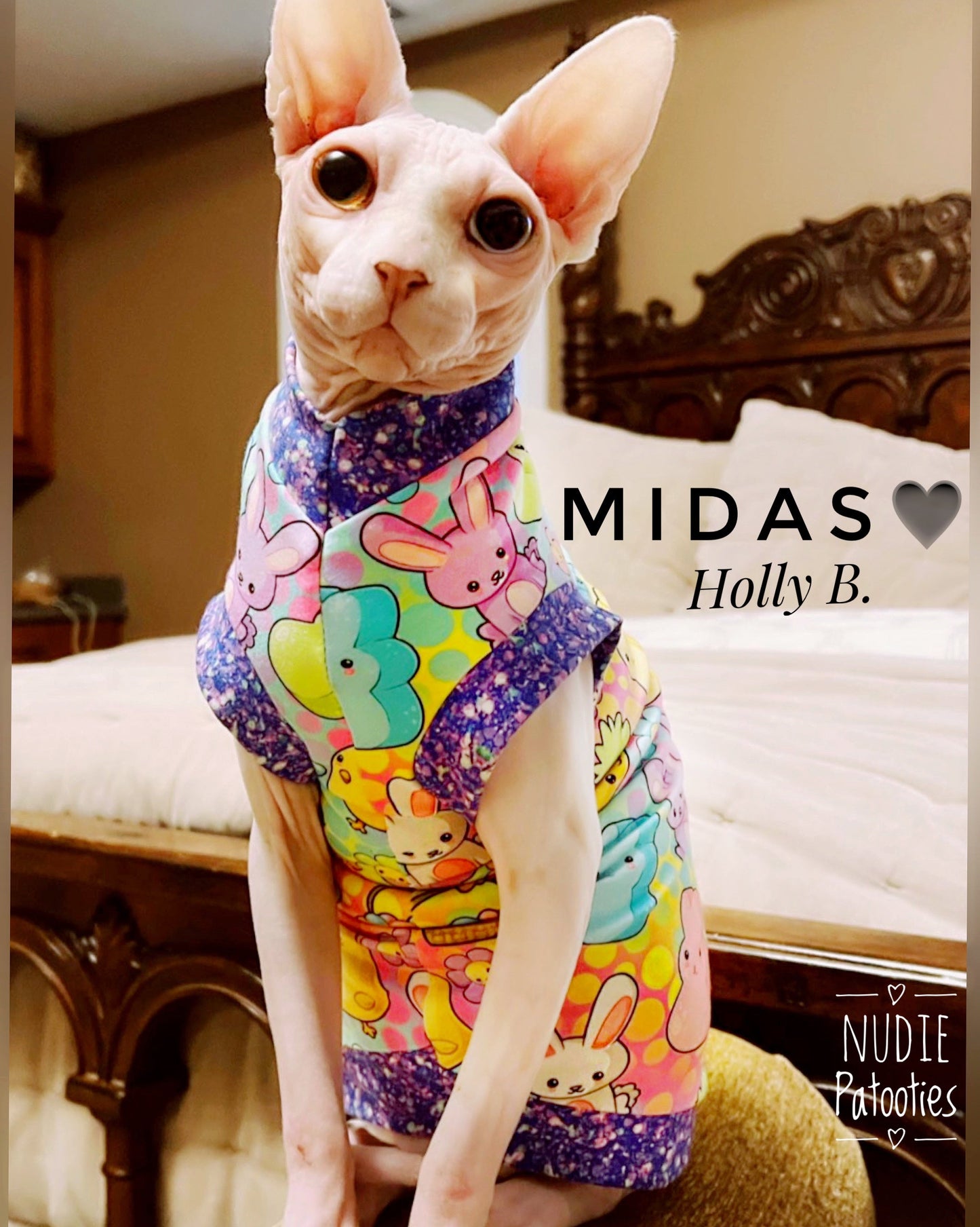 Sphynx cat and kitten shirt. Sphynx cat clothes.