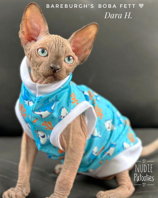 UV 50 + sun protection shirt for sphynx cat and kitten.  Sphynx cat clothes. 