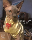 Sphynx cat and kitten shirt. Sphynx cat clothes