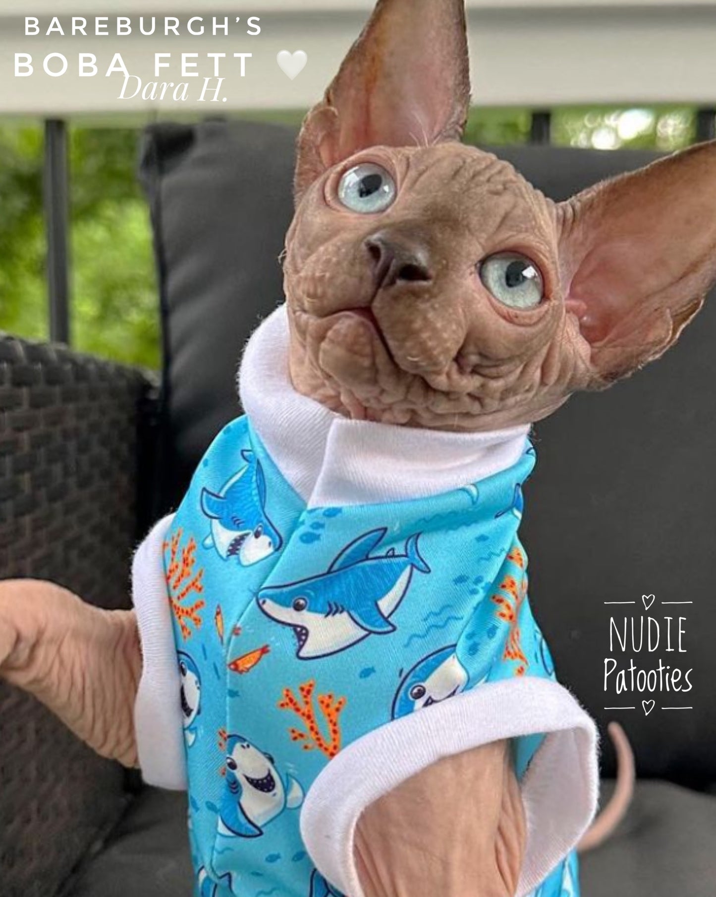 UV 50 + sun protection shirt for sphynx cat and kitten.  Sphynx cat clothes. 