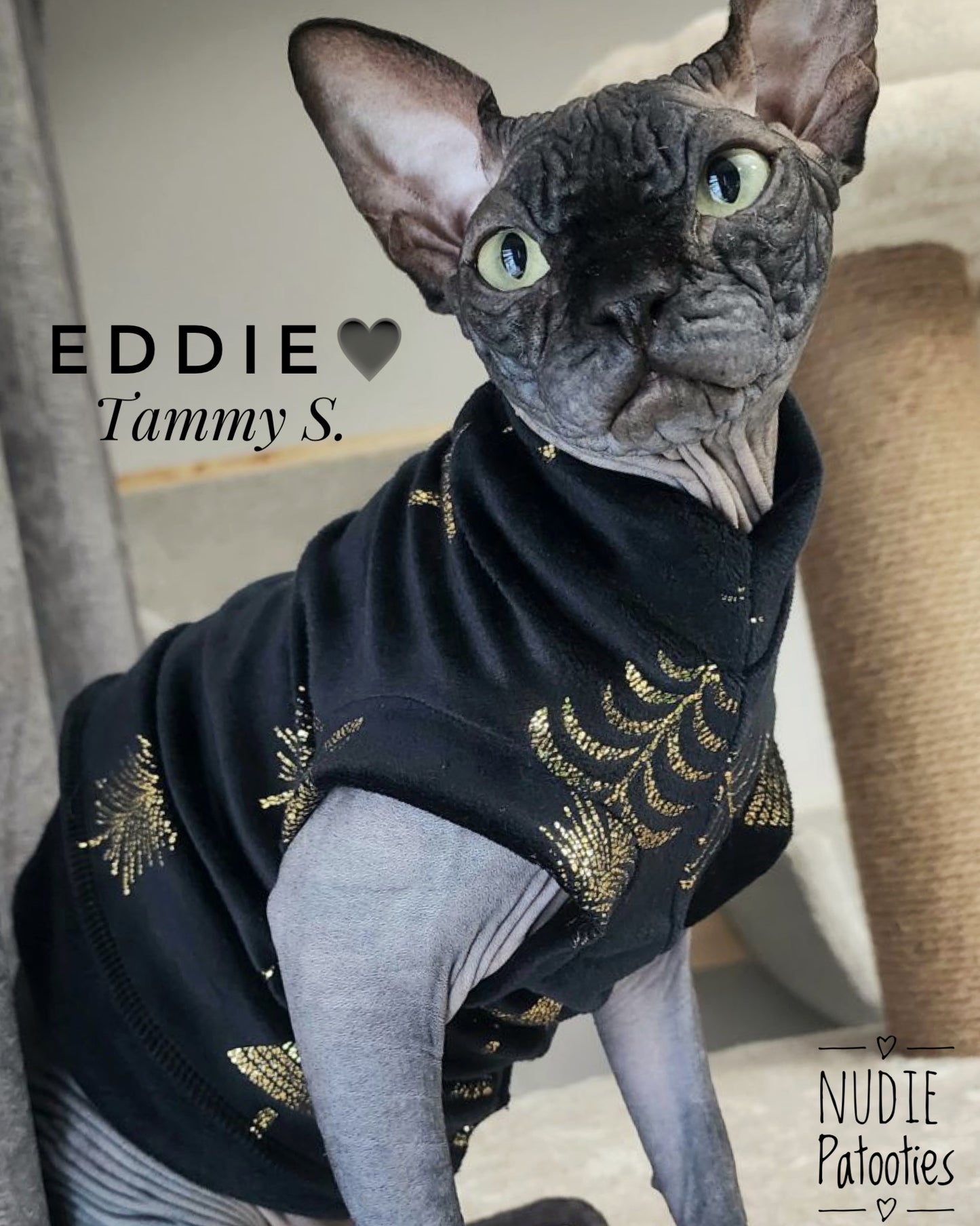 Sphynx cat and kitten fleece shirt.  Sphynx cat clothes.