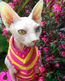 Pink and Yellow Stripe - Nudie Patooties