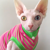 Pink and lime green stripe shirt for your sphynx cat and kitten, devon rex, cornish rex cat, sphynx clothes, cat clothes, odd eye cat, cat shirt