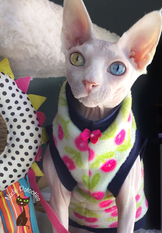Sphynx cat and kitten shirt.  Sphynx cat clothes.