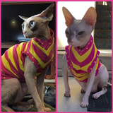 Pink and Yellow Stripe - Nudie Patooties