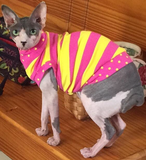 Pink and Yellow Stripe - Nudie Patooties