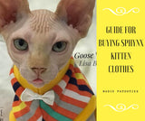 Guide for buying sphynx kitten clothes. 