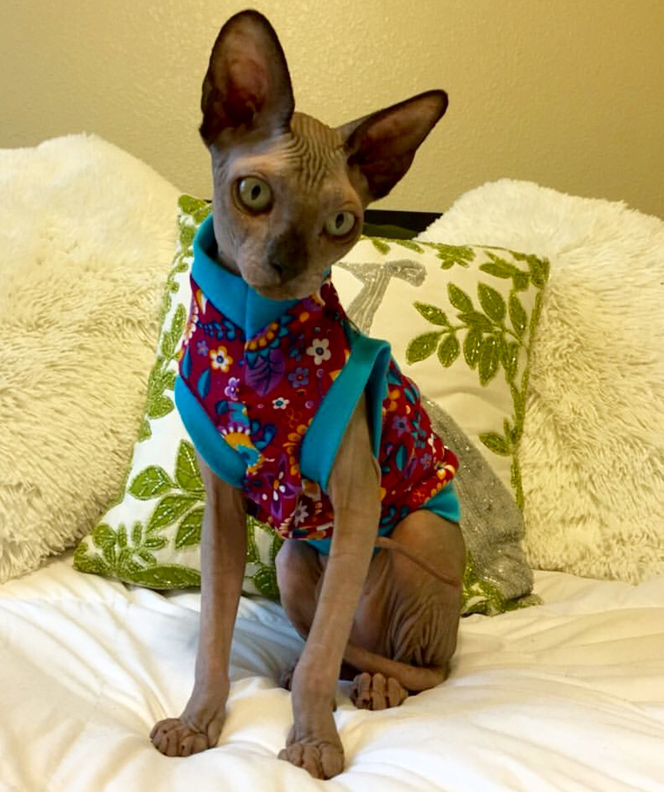 Pop of Turquoise Flowers - Nudie Patooties