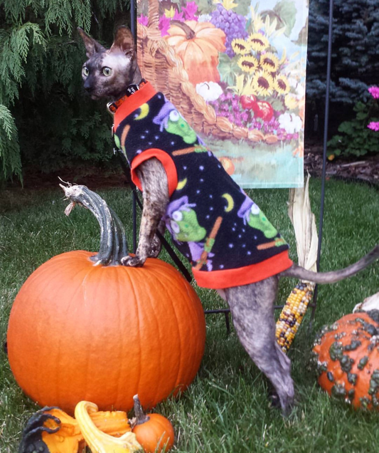 Witches sphynx cat and kitten Halloween Fleece shirt.  Sphynx cat and kitten shirt. Best sphynx cat and kitten clothes, shirts and swag.  