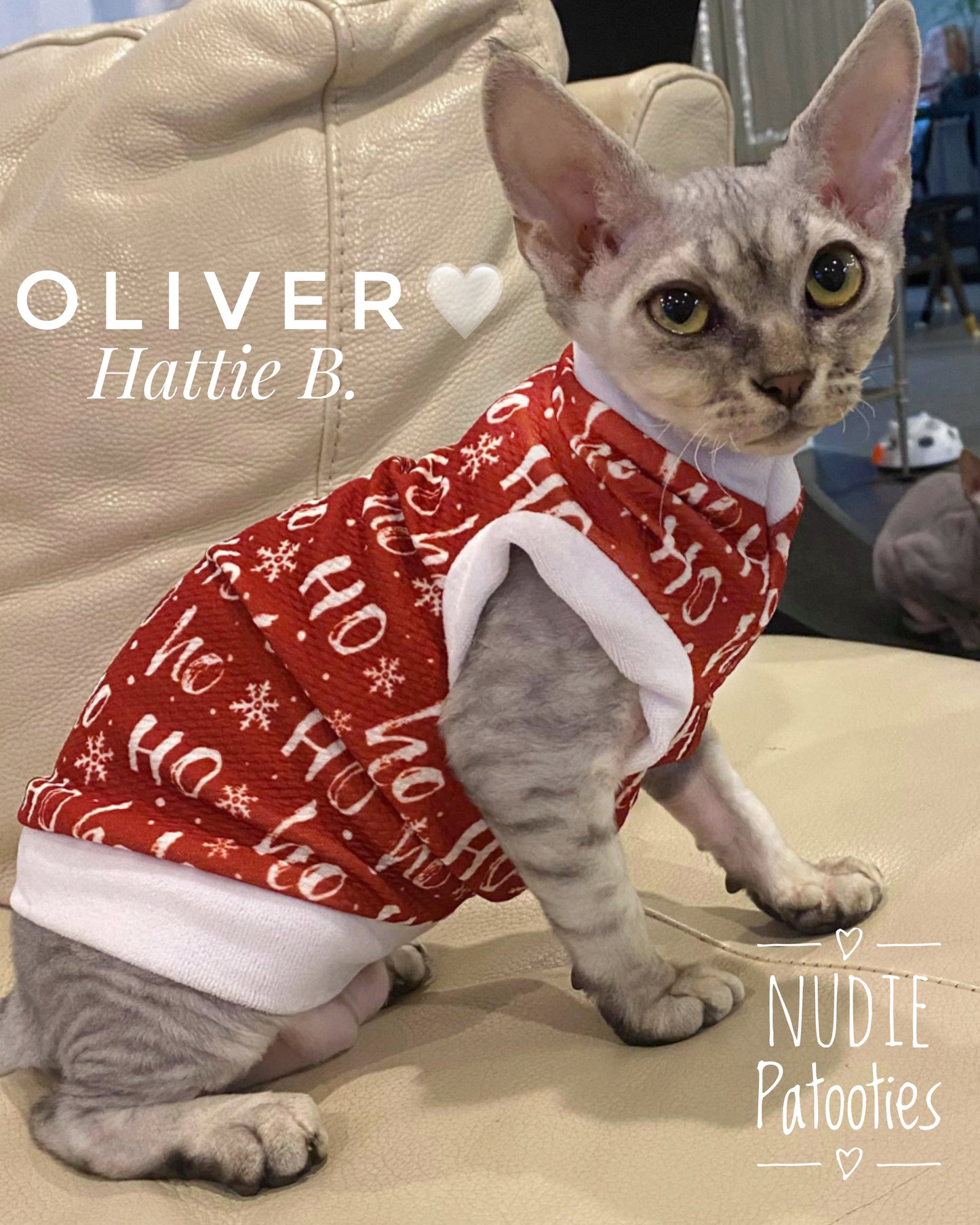 Christmas shirt for sphynx cat and kitten.  Sphynx cat clothes. 