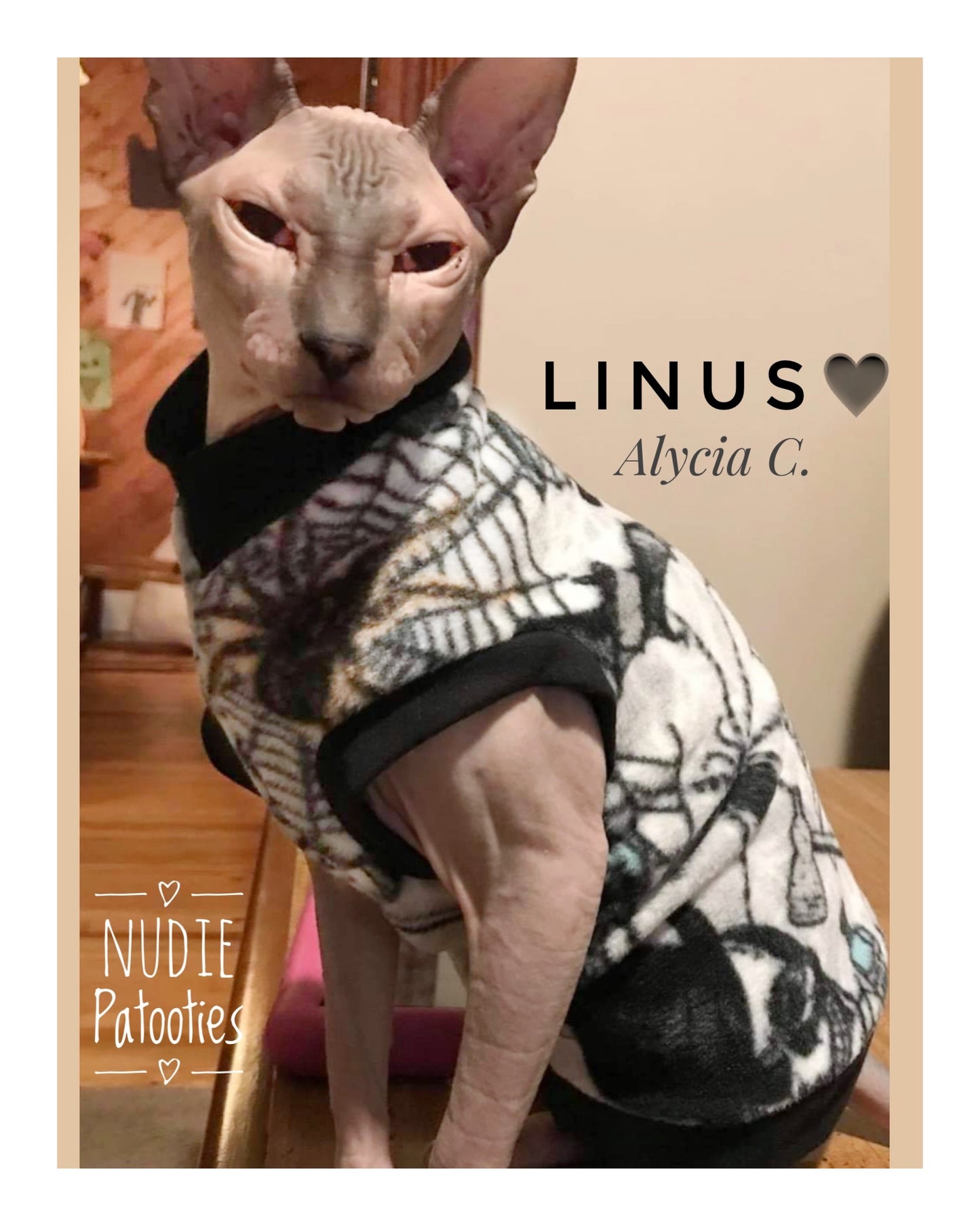 Sphynx cat and kitten spooky halloween shirt. cat fleece sweater and and clothes