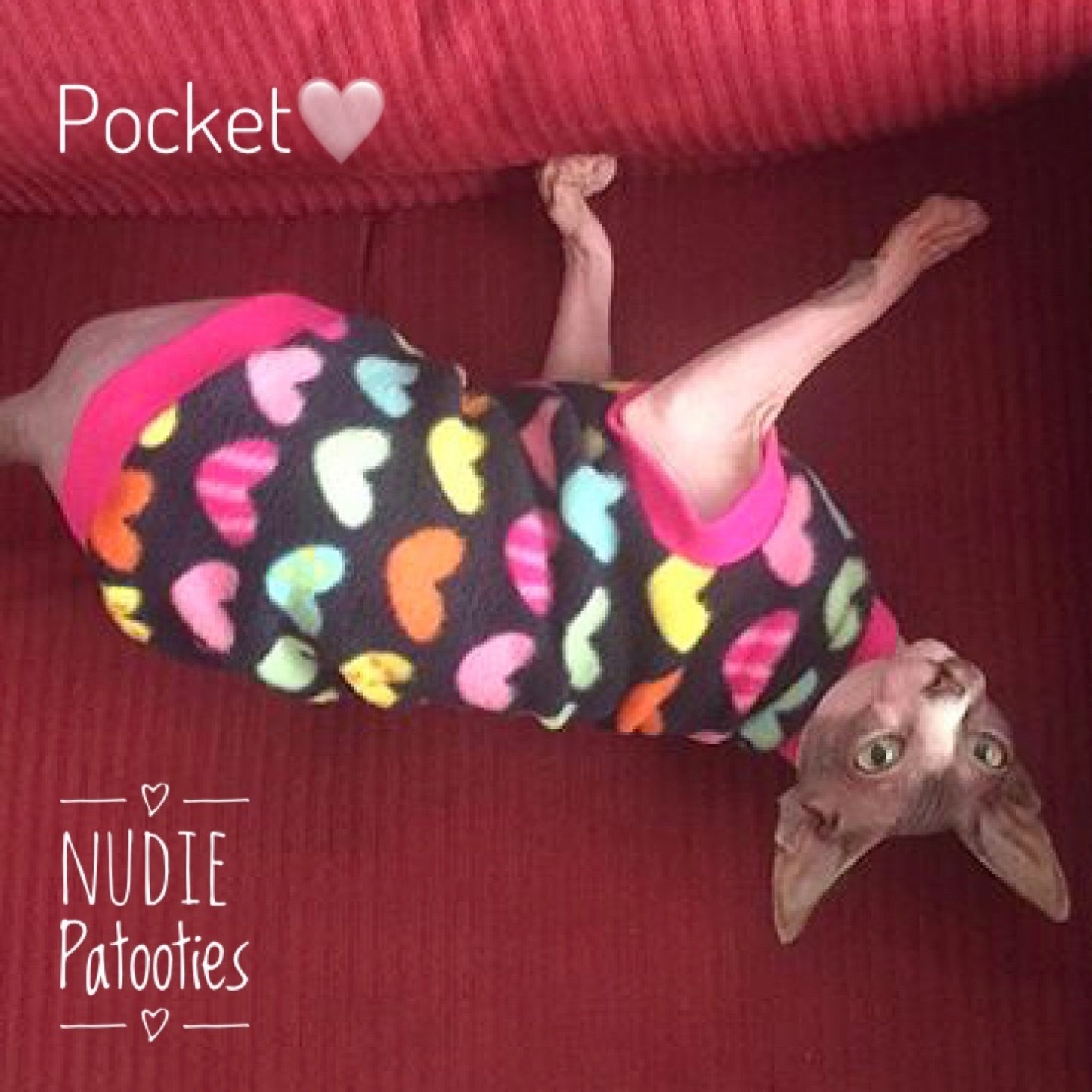 Colorful Heart Fleece "Love Me, Love Me, Say that you Love Me" - Nudie Patooties  Sphynx cat clothes for your sphynx cat, sphynx kitten, Donskoy, Bambino Cat, cornish rex, peterbald and devon rex cat. 