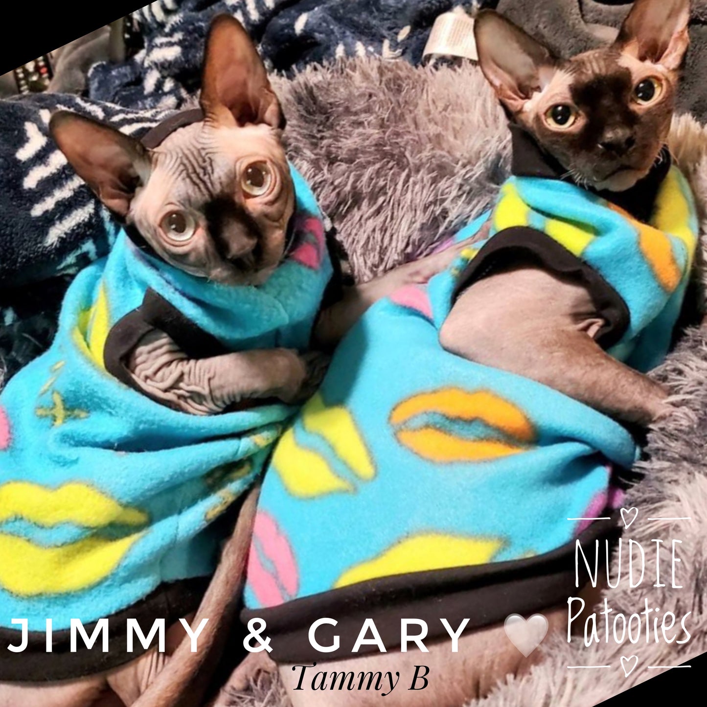 Sphynx cat and kitten soft and warm fleece shirt.  Sphynx cat clothes 