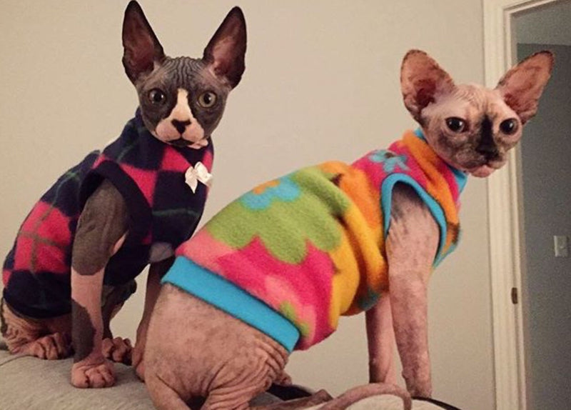 Colorful Flower Fleece "Groovy" - Nudie Patooties  Sphynx cat clothes for your sphynx cat, sphynx kitten, Donskoy, Bambino Cat, cornish rex, peterbald and devon rex cat. 