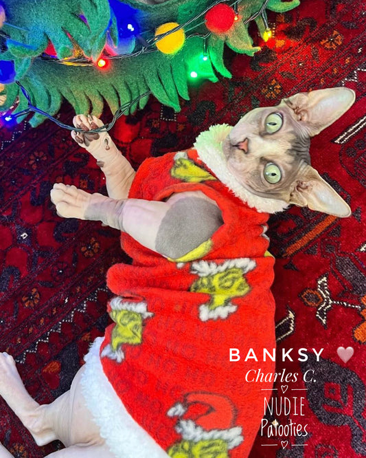 Fleece and Sherpa Christmas shirt for sphynx cat and kitten.  Sphynx cat clothes.