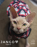 sphynx cat and kitten shirt.  sphynx cat clothes