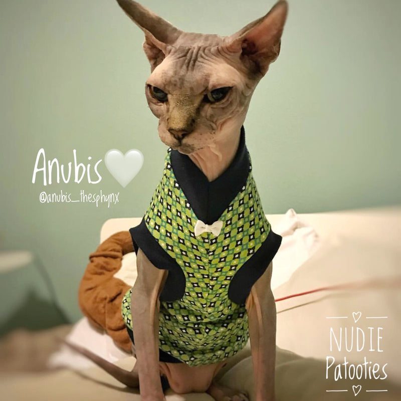 Organic cotton shirt with bow tie for your Sphynx, bambino, donskoy, Peterbald, Cornish Rex, Devon Rex! Cat Clothes