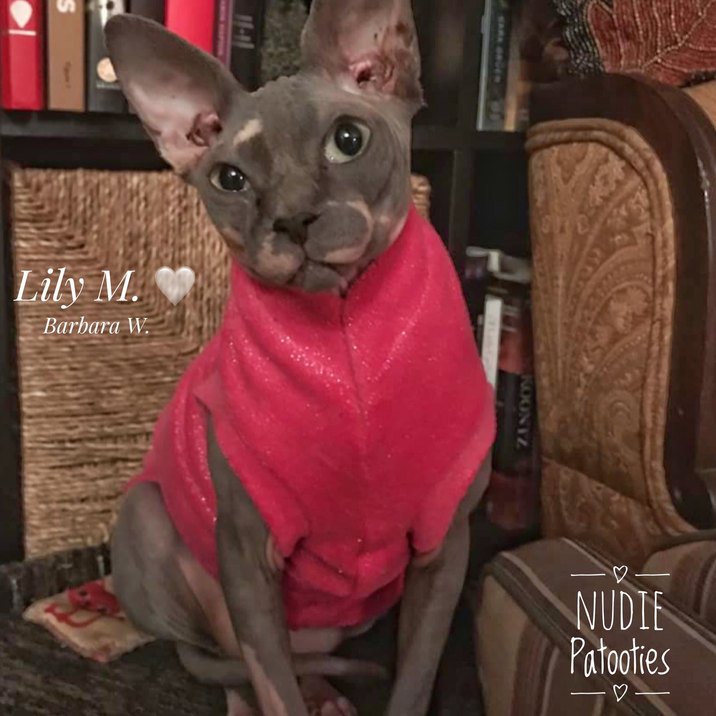 Sphynx Cat Fleece Clothes / clothes for cats/ cat overalls /cat shirt/ cat sweater/ cat sweatshirt/ pet sweater/ Sphynx cat clothes/ Sphynx clothing / cats clothes/ shirt for cat/ cat clothes/ tattoo/ skull/ designer cat clothes/ cat pjs
