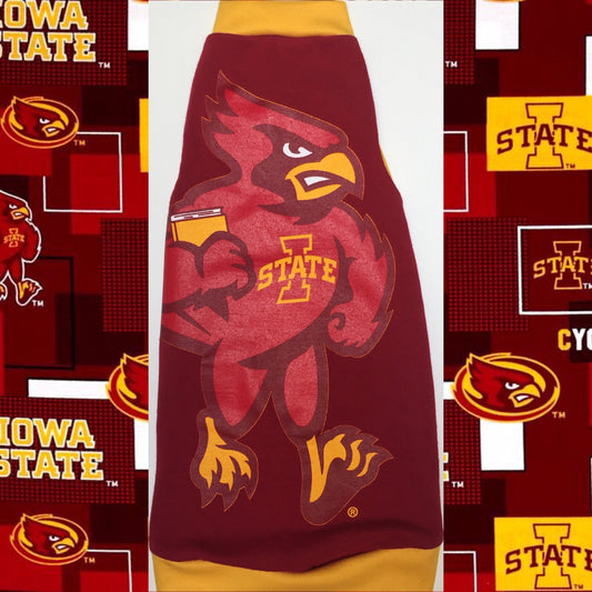 Cy The Cardinal - University of Iowa - Nudie Patooties