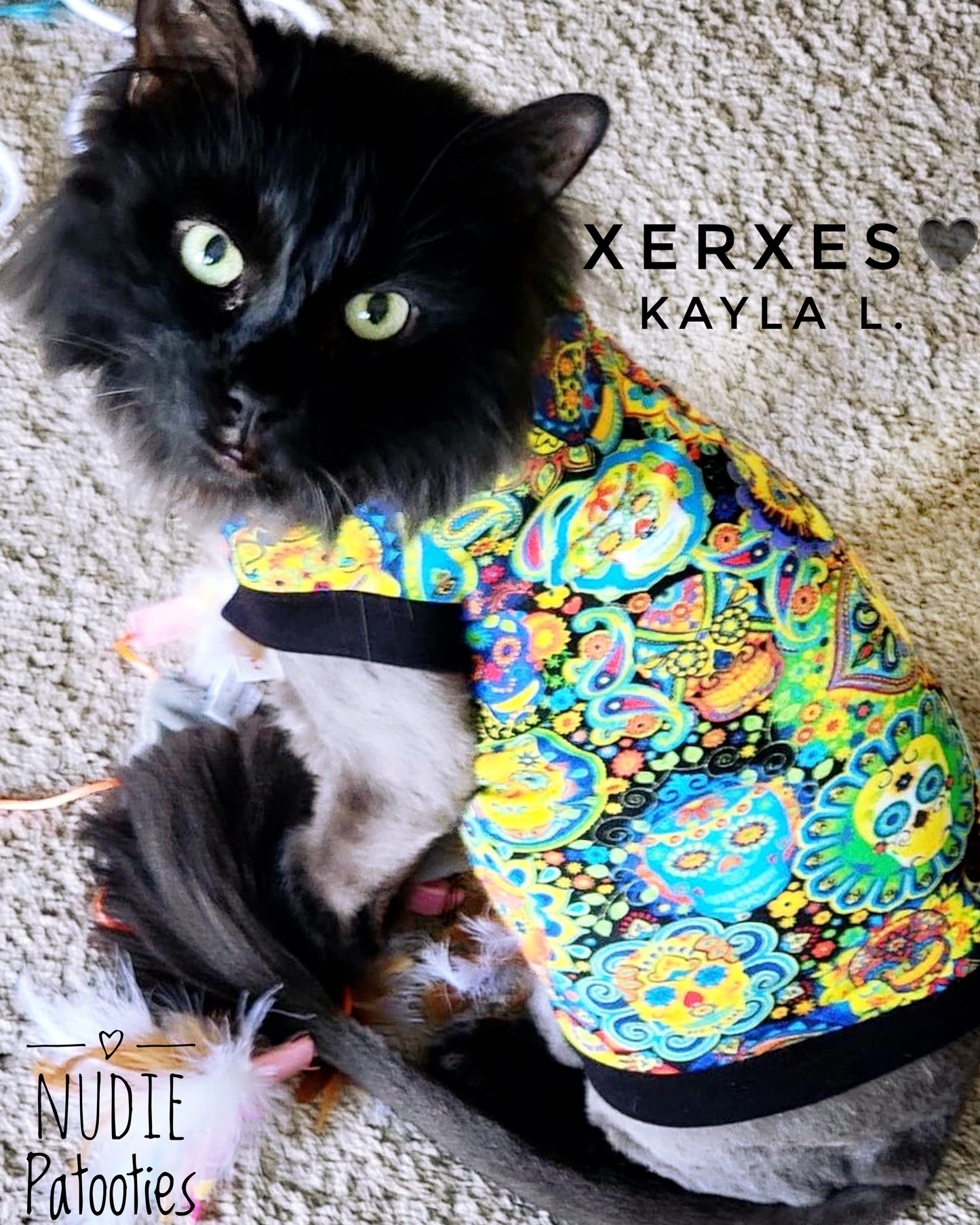 Sphynx cat and kitten shirt.  Sphynx cat clothes.