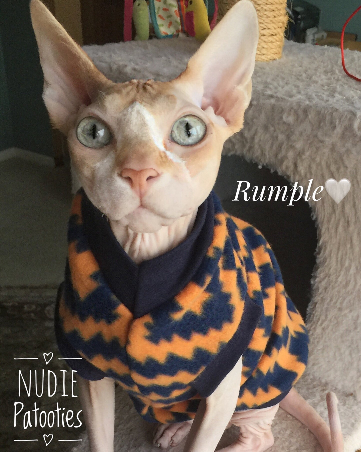 Nudie Patooties Fleece shirt for your sphynx cat, sphynx kitten, Donskoy, Bambino Cat, cornish rex, peterbald and devon rex cat.  Sphynx cat clothes, shirts and sweaters.     