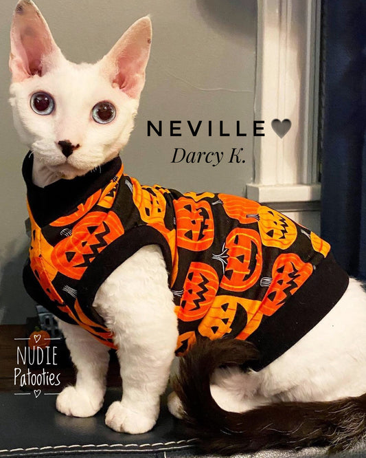 Sphynx cat and kitten Halloween shirt. Best sphynx cat and kitten clothes, shirts and swag.  