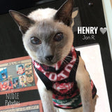 Christmas Stripe Fleece "Joy" - Nudie Patooties  Sphynx cat clothes for your sphynx cat, sphynx kitten, Donskoy, Bambino Cat, cornish rex, peterbald and devon rex cat. 