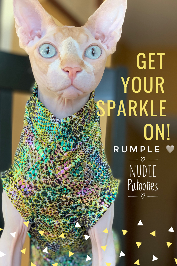 Sphynx cat clothes, shirts and sweaters. 