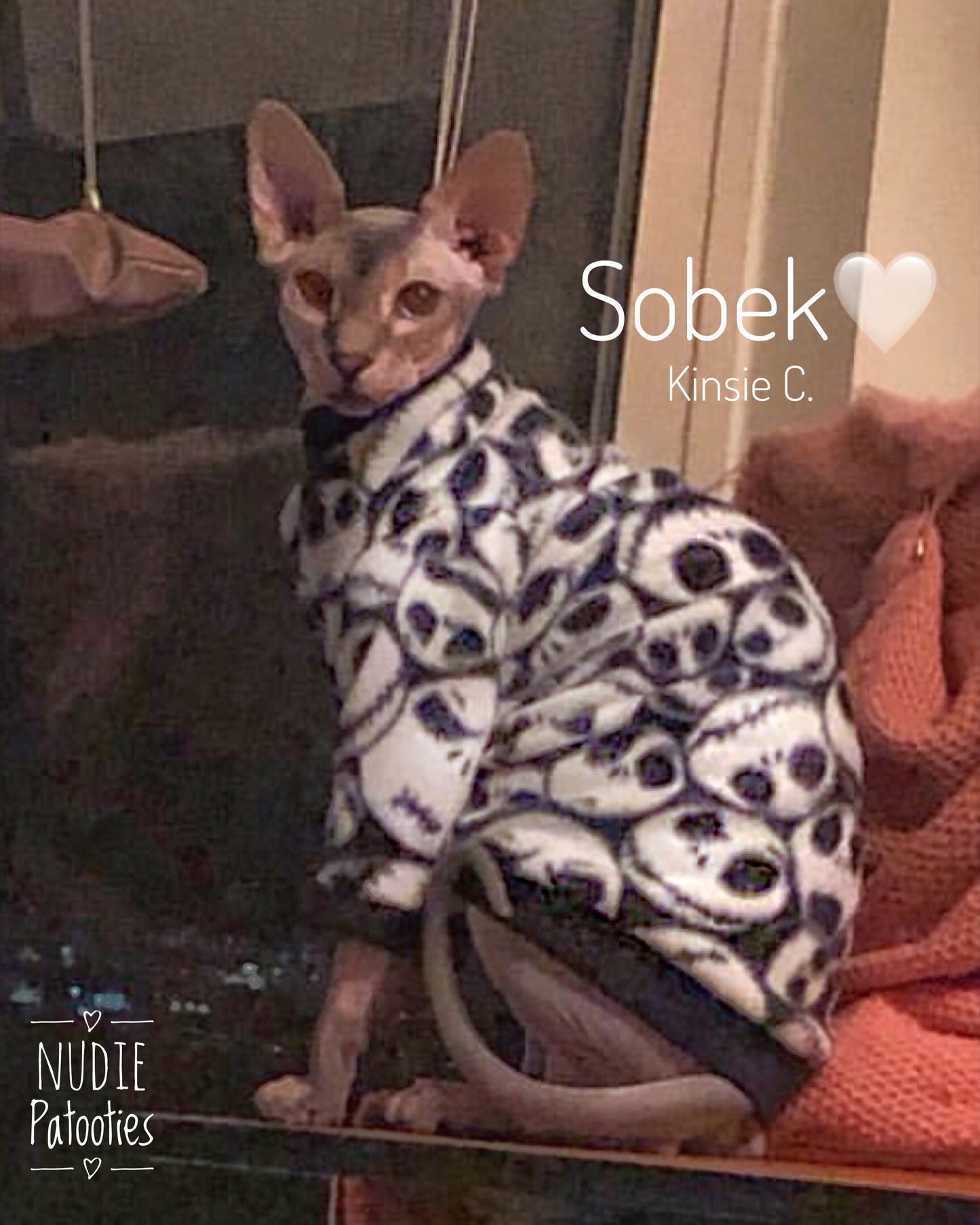 Sphynx cat clothes, shirts and sweaters. Warm long sleeve fleece. Sphynx cat clothes 