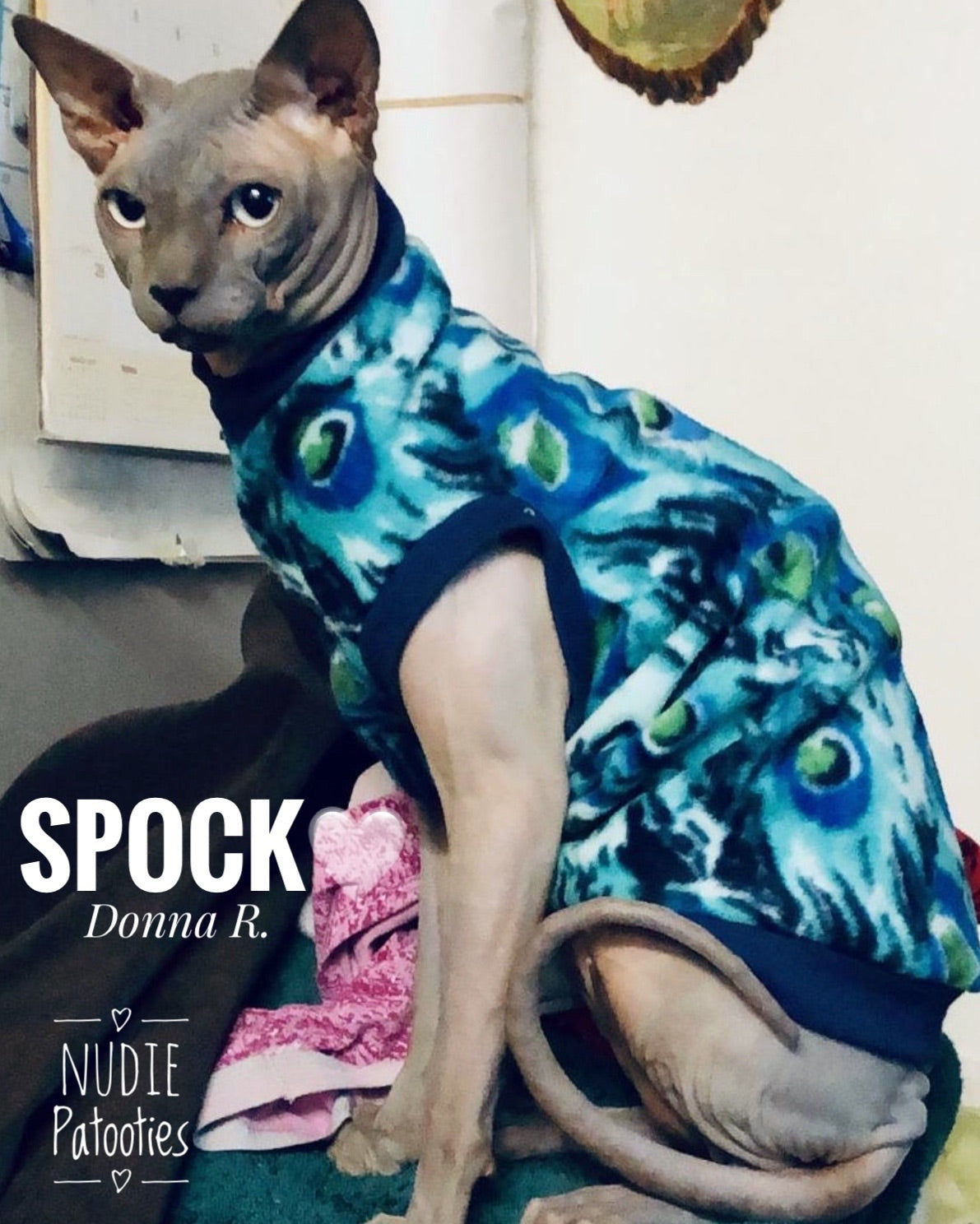 Nudie Patooties Fleece shirt for your sphynx cat, sphynx kitten, cornish rex, peterbald and devon rex cat.  Sphynx cat clothes, shirts and sweaters. 